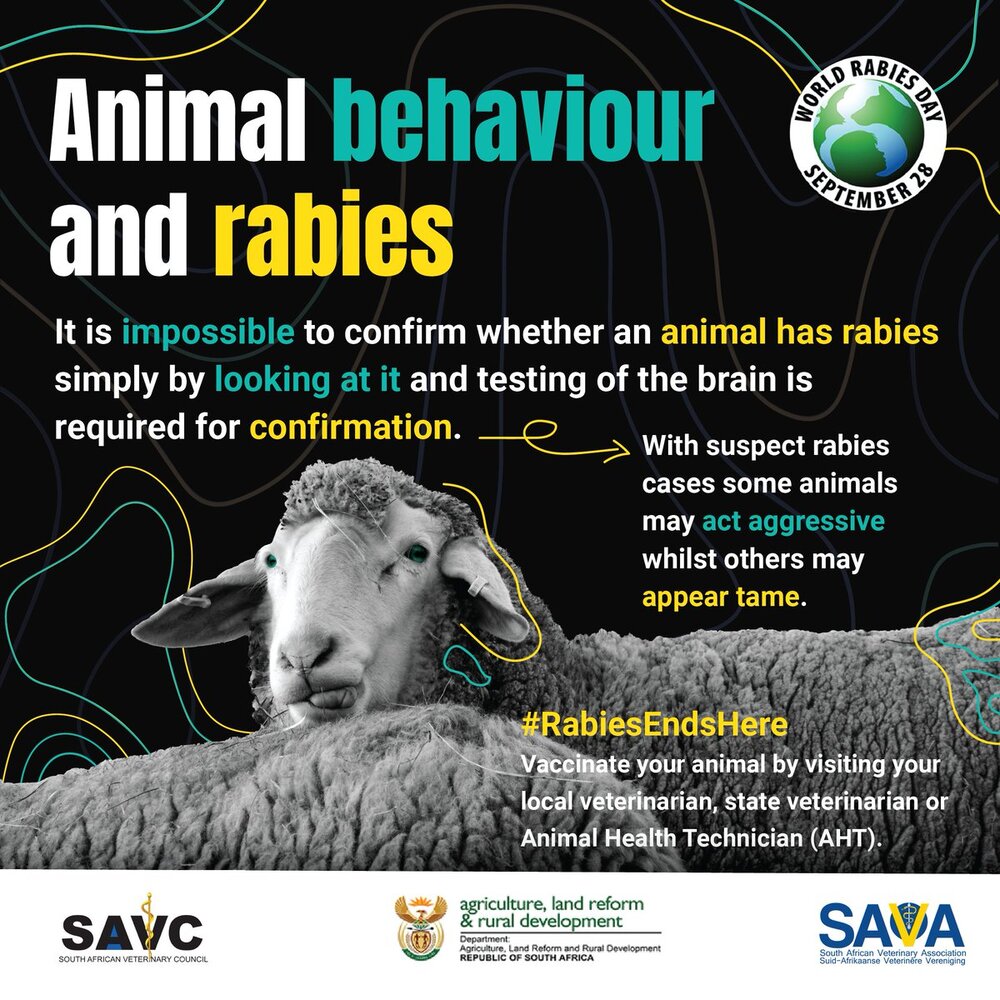 Ei6QoMSXYAEdRcD Animal behaviour