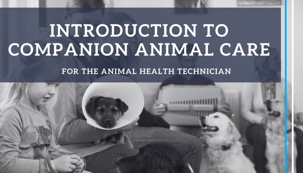 AHT – Introduction to Companion Animal Care | Khula Vet