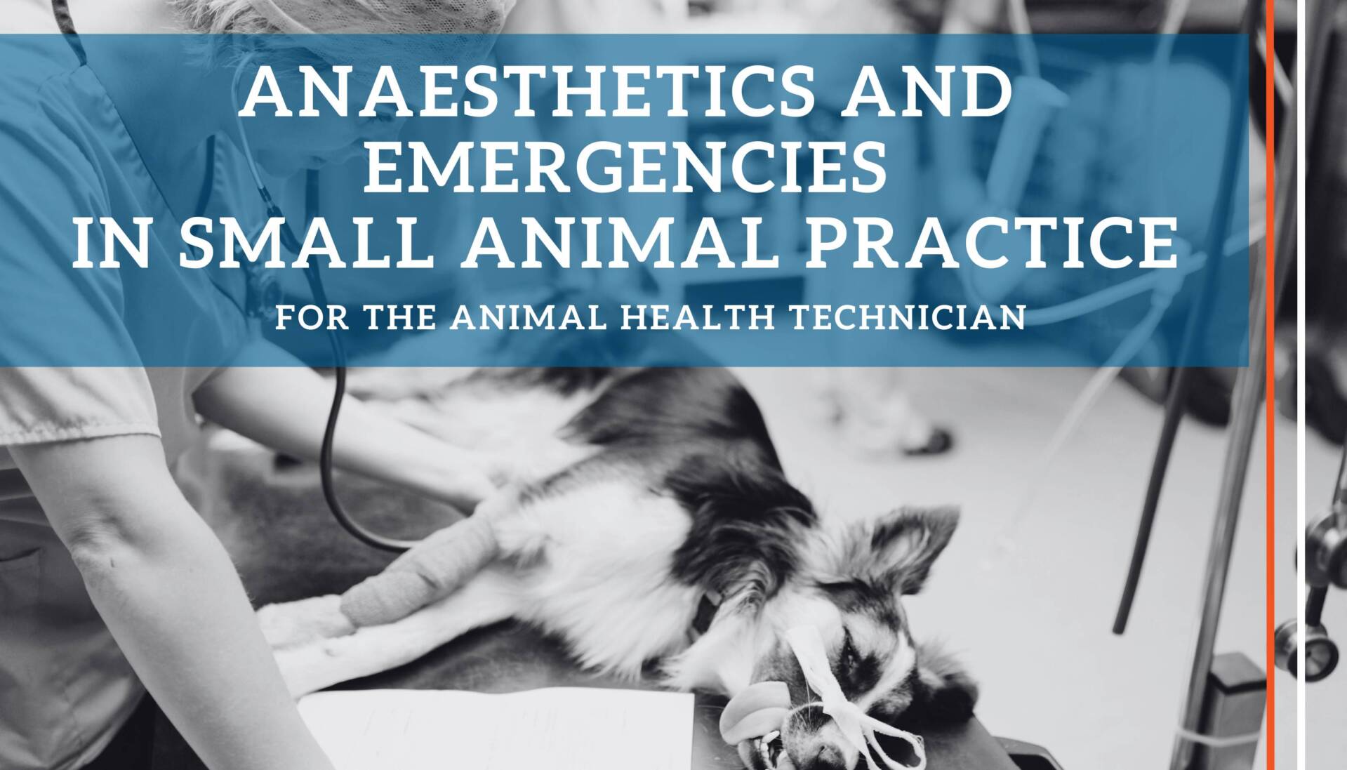Registration AHT - Anaesthetics and Emergencies (1)