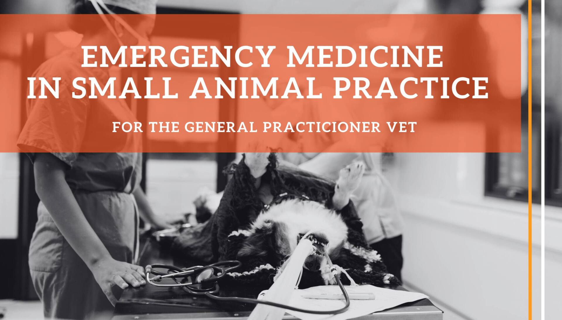 Vet - Emergency and Critical Care