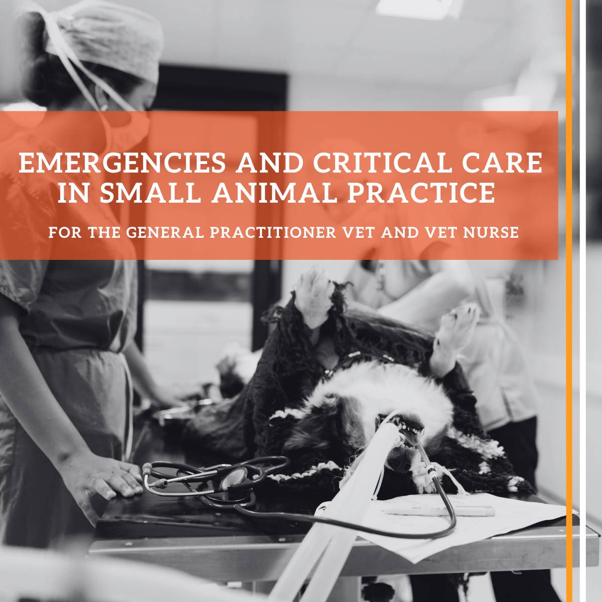 Woocommerce Emergency and Critical Care (1)