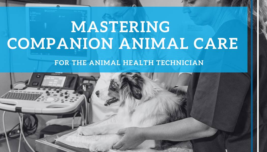 AHT – Mastering Companion Animal Care | Khula Vet