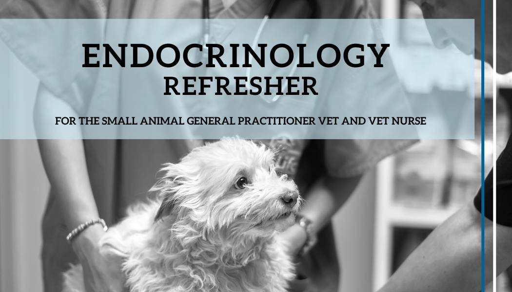 Endocrinology-Refresher-1