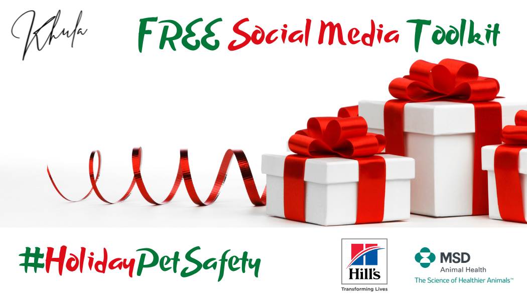 #HolidayPetSafety Banner (2)