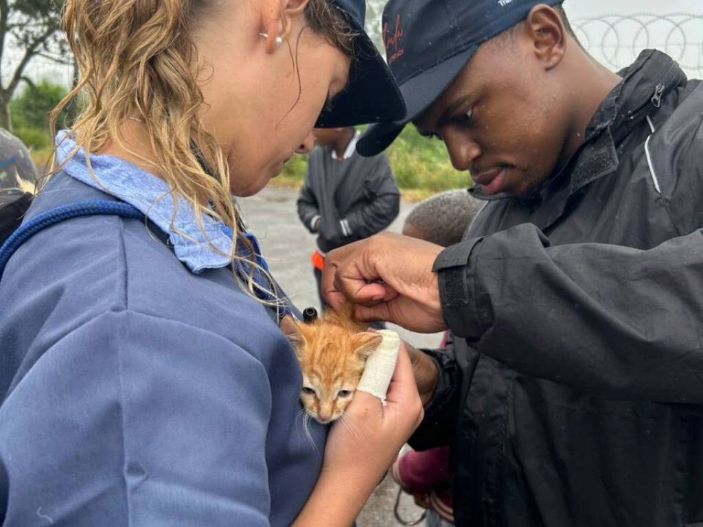 Khula Vet rabies - 2