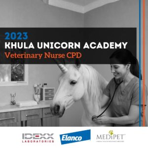 2023 Unicorn Academy